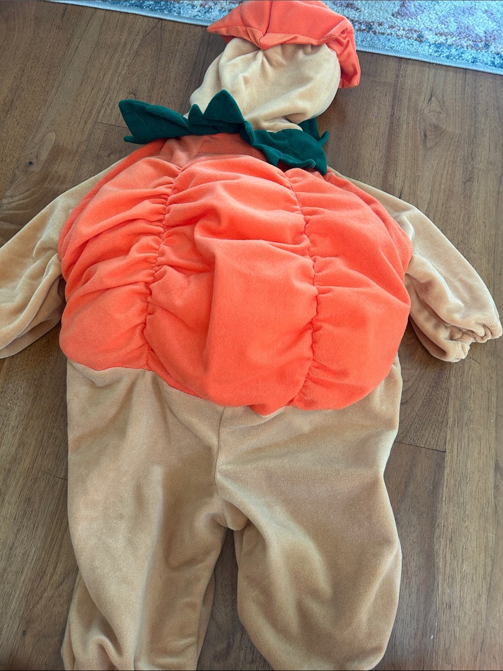 Disney Pooh Pumpkin Costume - Orange, Tan & Green - Picture 2 of 4
